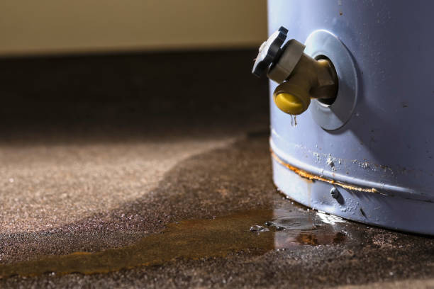 Best Water damage restoration near me  in Saint Johns University, MN