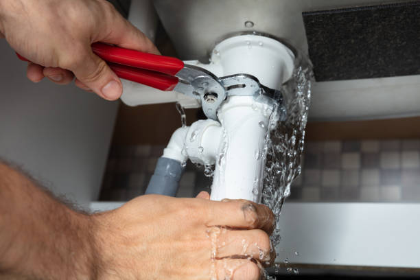 Best Commercial water damage restoration  in Saint Johns University, MN