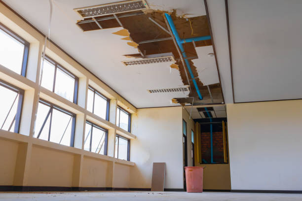 Best Water damage contractors near me  in Saint Johns University, MN