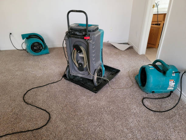 Best Water damage contractors near me  in Saint Johns University, MN