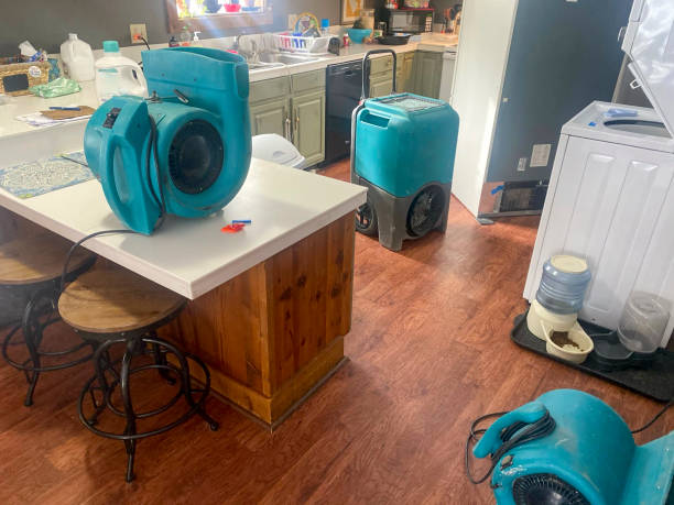 Best Water damage restoration near me  in Saint Johns University, MN