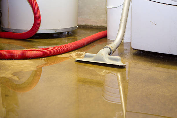 Best Professional water damage repair  in Saint Johns University, MN