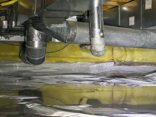 Best Sewage cleanup and water damage restoration  in Saint Johns University, MN