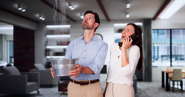 Best 24/7 water damage repair  in Saint Johns University, MN