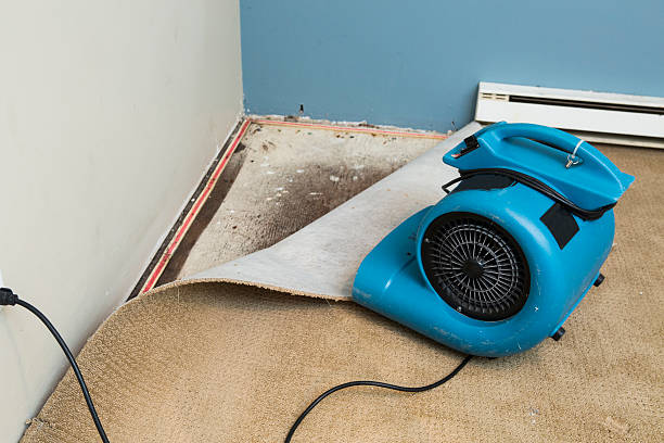  Saint Johns University, MN Water damage restoration Pros